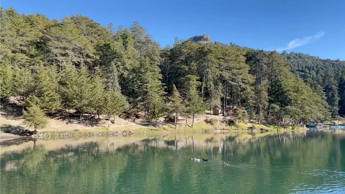 Parque-Nacional-El-Chico-Cedral-03