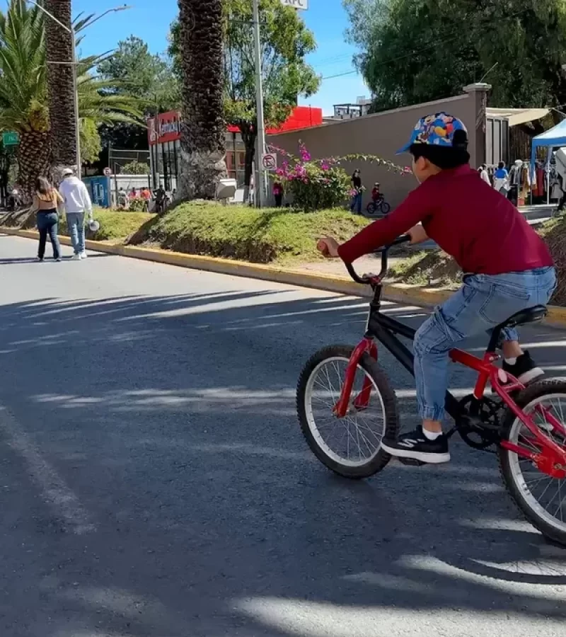 Paseo-Dominical-en-Av.-Revolución