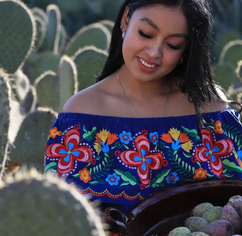 img_hotel_emily_experiencias