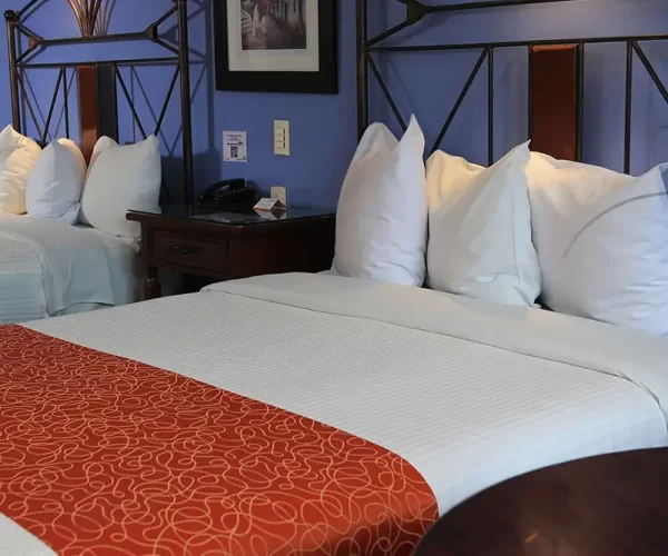 img_hotel_emily_jr_suite