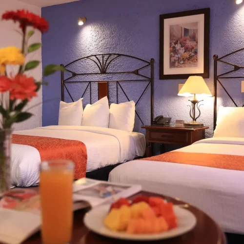 img_hotel_emily_jrsuite_4