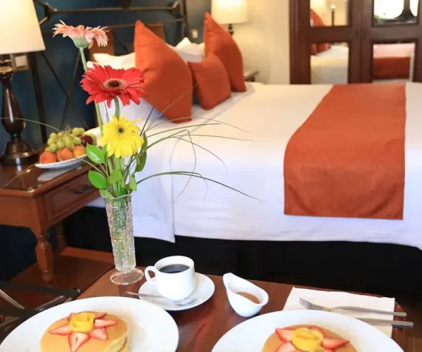 img_hotel_emily_suite